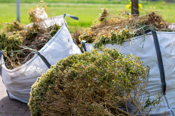 Best Electronics Removal Services  in Mcelhattan, PA
